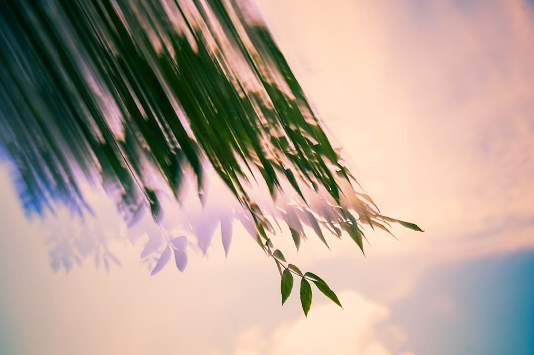 可用于实际生活中的TEC钱银终究是什么？(视频)_